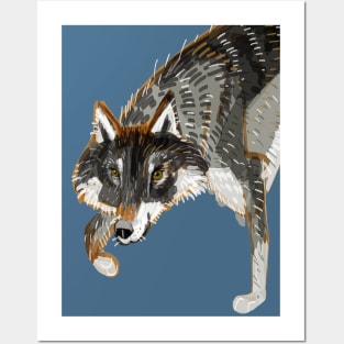 Dark European Wolf Posters and Art